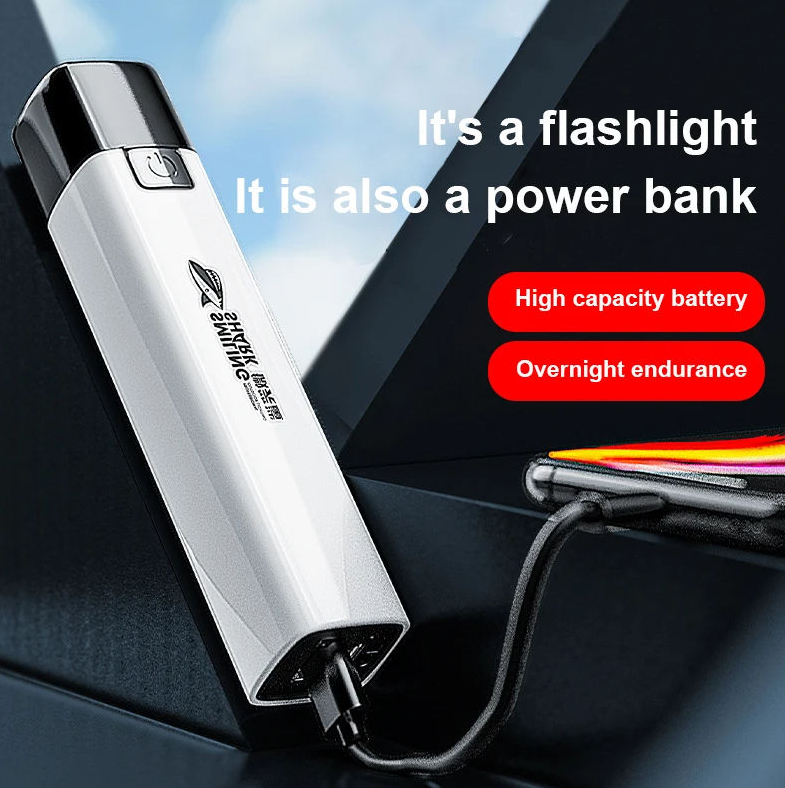 রিচার্জেবল LED টর্চ লাইট ও পাওয়ার ব্যাংক